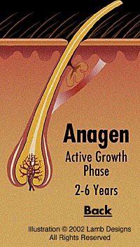 Anagel, Rejuvenu Products, Rejuvenu International Ltd., Rejuvenu International, rejuvenu.com, rejuvenews.com, rejuvenu.org, Permanent Hair Removal, Hair Remover, Laser Hair Removal, Hair Removal